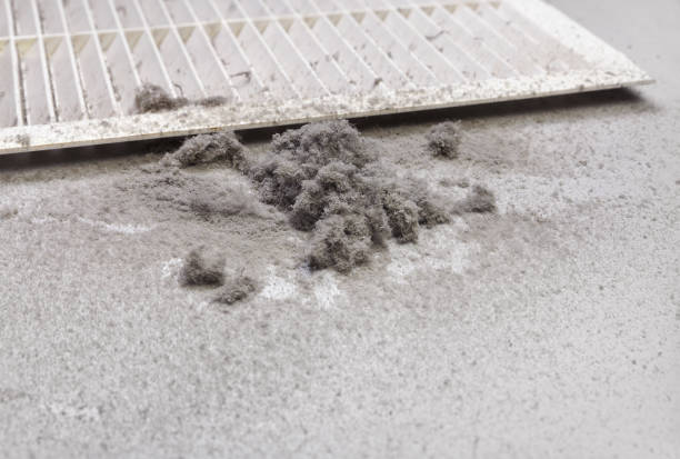 Best Air Duct Cleaning Near Me  in Felton, DE
