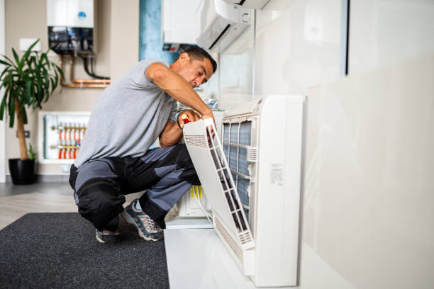 Best Home Air Vent Cleaning  in Felton, DE